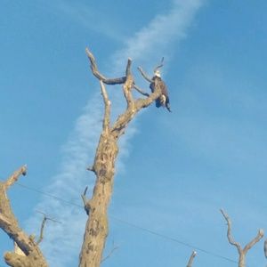 Meet your Posher, Dona